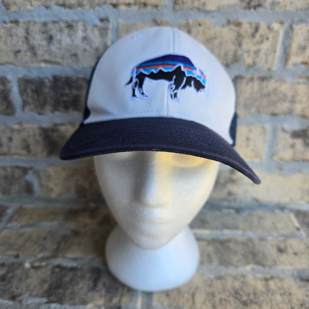 Patagonia Fitz Roy Bison Trucker Hat Navy Blue White Snapback Mesh Cap Mens
